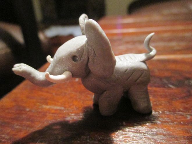 Look at his little tail! And his little tusks!