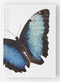 Big, blue, and beautiful