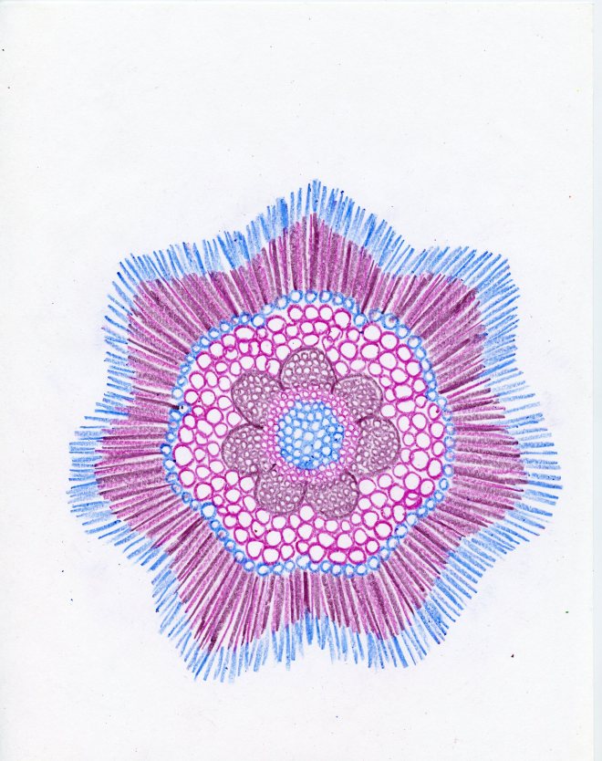 If I seem a little prickly to you, maybe you shouldn't touch me. 