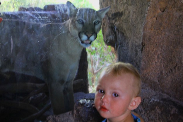 What the heck are *you* guys looking at?