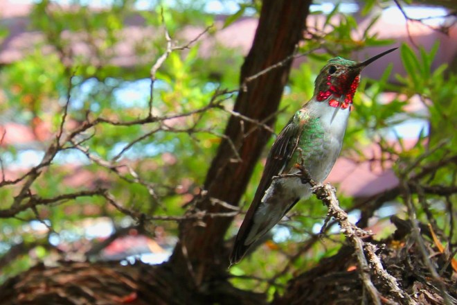 Sometimes you have to land. 