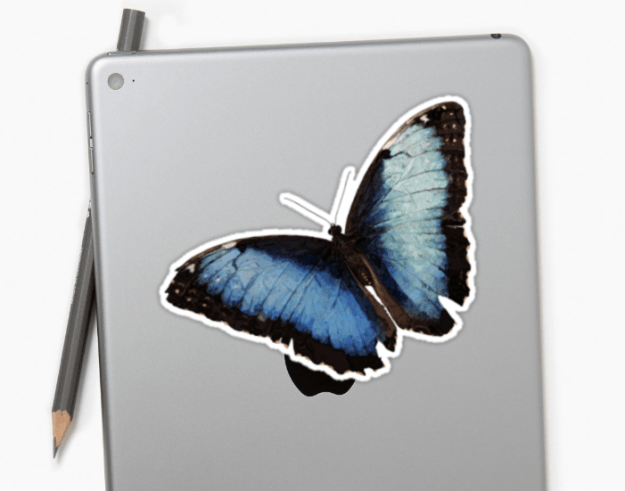 Screen Shot 2016-06-02 at 10.59.19 PM