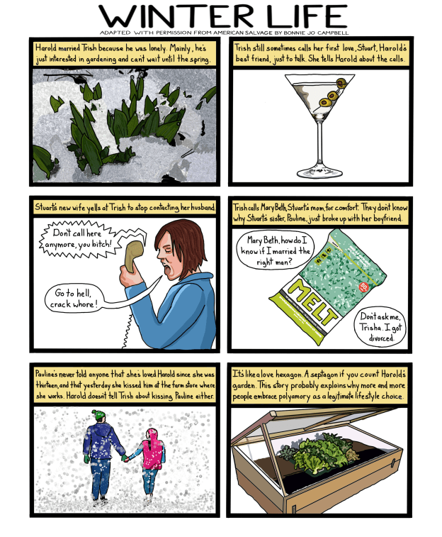 american salvage 8 winter life_edited-1